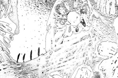 Soyut arkaplan. Monokrom dokusu. Resim siyah ve beyaz tonları içerir.