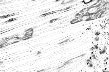 Soyut arkaplan. Monokrom dokusu. Resim siyah ve beyaz tonları içerir.