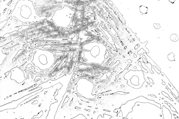 Soyut Arkaplan Monokrom Dokusu Resim Siyah Beyaz Tonları Içerir — Stok fotoğraf