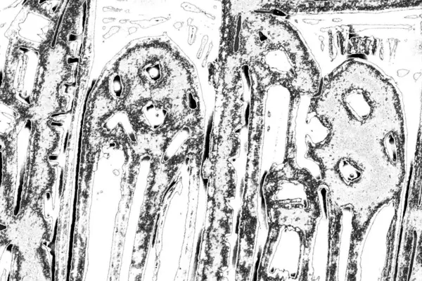 Абстрактный Фон Монохромная Текстура Изображение Включает Себя Эффект Черно Белых — стоковое фото
