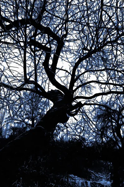 Forêt Gelée Hiver Avec Effet Peinture Huile — Photo