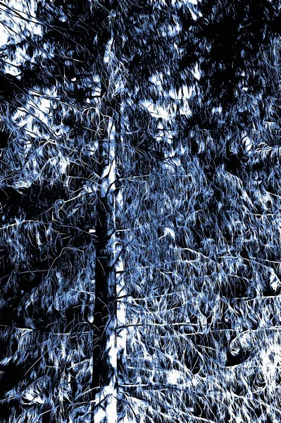 Bosque Congelado Invierno Con Efecto Pintura Óleo —  Fotos de Stock