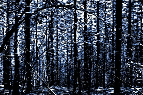 Frozen Forest Winter Oil Paint Effect — Stock Photo, Image