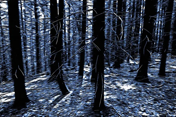 Frozen Forest Winter Oil Paint Effect — Stock Photo, Image