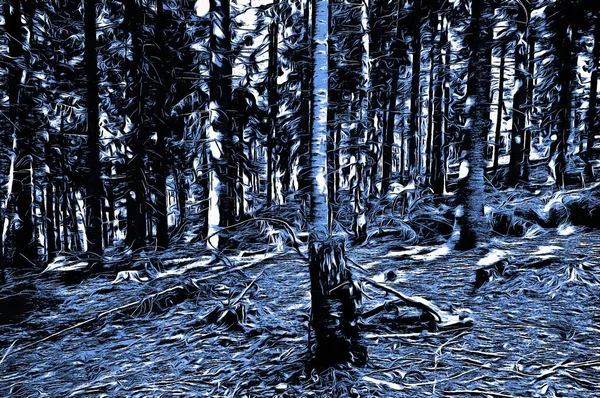 冬の凍った森に油絵具の効果で — ストック写真