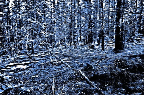 Bosque Congelado Invierno Con Efecto Pintura Óleo —  Fotos de Stock