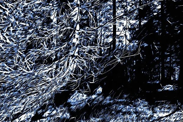 Forêt Gelée Hiver Avec Effet Peinture Huile — Photo