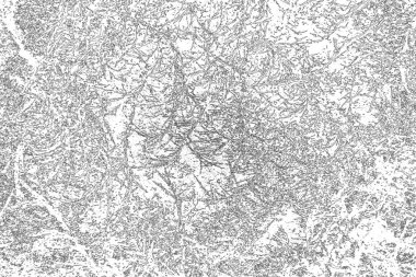 Soyut arkaplan. Monokrom dokusu. Resim siyah ve beyaz tonları içerir.