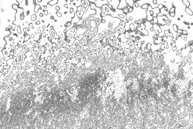 Soyut arkaplan. Monokrom dokusu. Resim siyah ve beyaz tonları içerir.