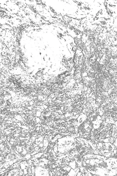 Soyut arkaplan. Monokrom dokusu. Resim siyah ve beyaz tonları içerir.