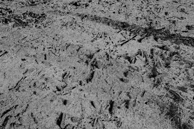 Soyut arkaplan. Monokrom dokusu. Resim siyah ve beyaz tonları içerir.