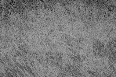 Soyut arkaplan. Monokrom dokusu. Resim siyah ve beyaz tonları içerir.