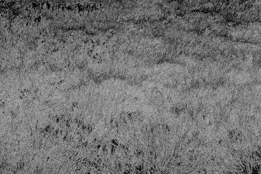 Soyut arkaplan. Monokrom dokusu. Resim siyah ve beyaz tonları içerir.