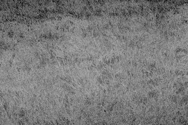 Soyut arkaplan. Monokrom dokusu. Resim siyah ve beyaz tonları içerir.
