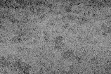 Soyut arkaplan. Monokrom dokusu. Resim siyah ve beyaz tonları içerir.