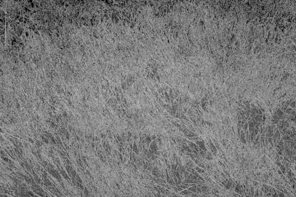Soyut arkaplan. Monokrom dokusu. Resim siyah ve beyaz tonları içerir.