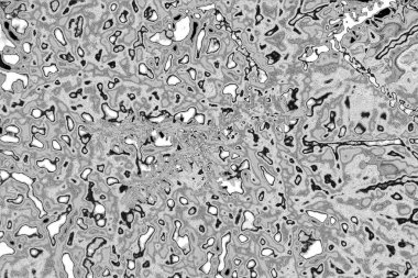 Soyut arkaplan. Monokrom dokusu. Resim siyah ve beyaz tonları içerir.