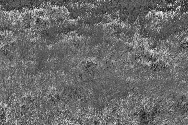 Soyut arkaplan. Monokrom dokusu. Resim siyah ve beyaz tonları içerir.