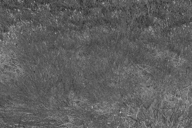 Soyut arkaplan. Monokrom dokusu. Resim siyah ve beyaz tonları içerir.