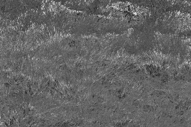 Soyut arkaplan. Monokrom dokusu. Resim siyah ve beyaz tonları içerir.