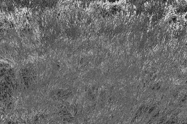 Soyut arkaplan. Monokrom dokusu. Resim siyah ve beyaz tonları içerir.