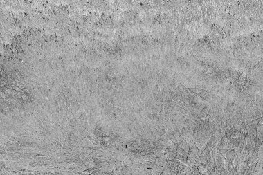 Soyut arkaplan. Monokrom dokusu. Resim siyah ve beyaz tonları içerir.