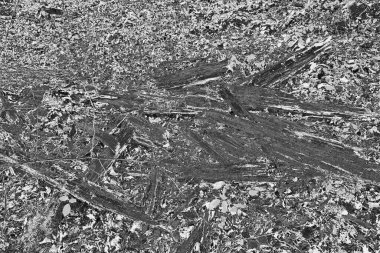 Soyut arkaplan. Monokrom dokusu. Resim siyah ve beyaz tonları içerir.