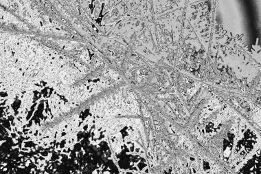 Soyut arkaplan. Monokrom dokusu. Resim siyah ve beyaz tonları içerir.