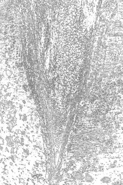 Soyut arkaplan. Monokrom dokusu. Resim siyah ve beyaz tonları içerir.