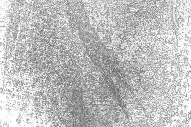 Soyut arkaplan. Monokrom dokusu. Resim siyah ve beyaz tonları içerir.