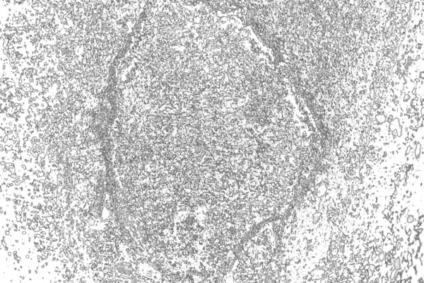 Абстрактный Фон Монохромная Текстура Изображение Включает Себя Эффект Черно Белых — стоковое фото