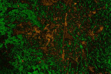 Soyut arkaplan, çok renkli arkaplan