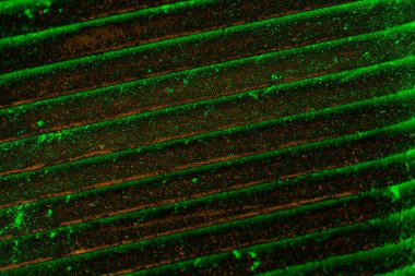 Soyut arkaplan. Çoklu renkli doku çizimi.