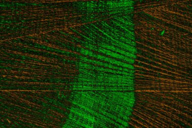 Soyut arkaplan. Çoklu renkli doku çizimi