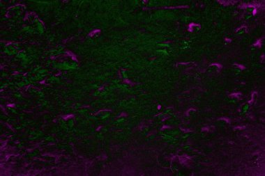 Soyut arkaplan. Çoklu renkli doku çizimi.