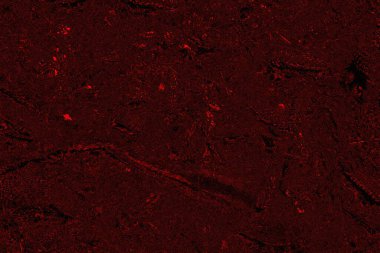 Soyut arkaplan. Çoklu renkli doku çizimi.