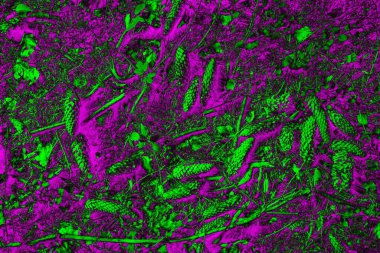 Soyut arkaplan. Çoklu renkli doku çizimi.