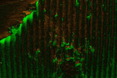 Soyut arkaplan. Çoklu renkli doku çizimi.