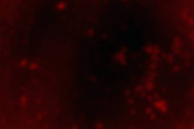 Soyut arkaplan, çok renkli arkaplan