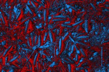 Soyut arkaplan. Çoklu renkli doku çizimi