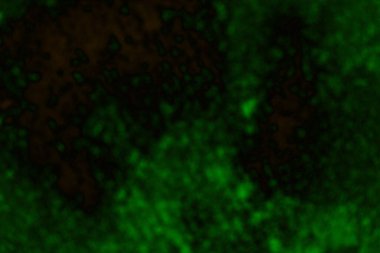 Soyut arkaplan, çok renkli arkaplan