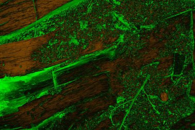 Soyut arkaplan. Çoklu renkli doku çizimi