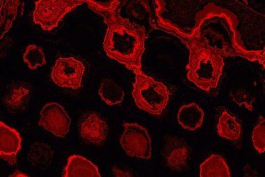 Soyut arkaplan. Çoklu renkli doku çizimi.
