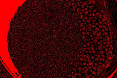 Soyut arkaplan. Çoklu renkli doku çizimi.