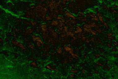 Soyut arkaplan. Çoklu renkli doku çizimi.