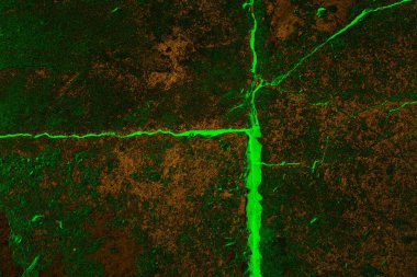 Soyut arkaplan. Çoklu renkli doku çizimi.