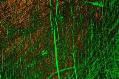 Soyut arkaplan. Çoklu renkli doku çizimi