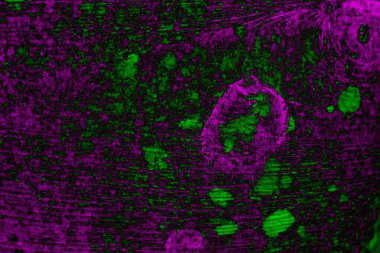 Soyut arkaplan. Çoklu renkli doku çizimi.