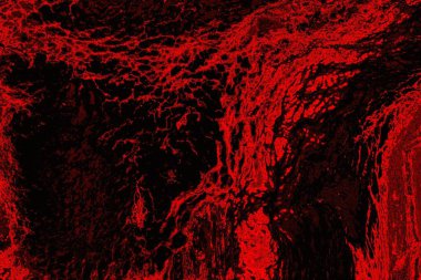 Soyut arkaplan. Çoklu renkli doku çizimi.