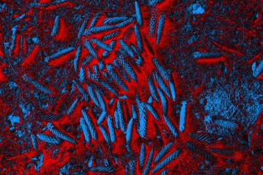 Soyut arkaplan. Çoklu renkli doku çizimi